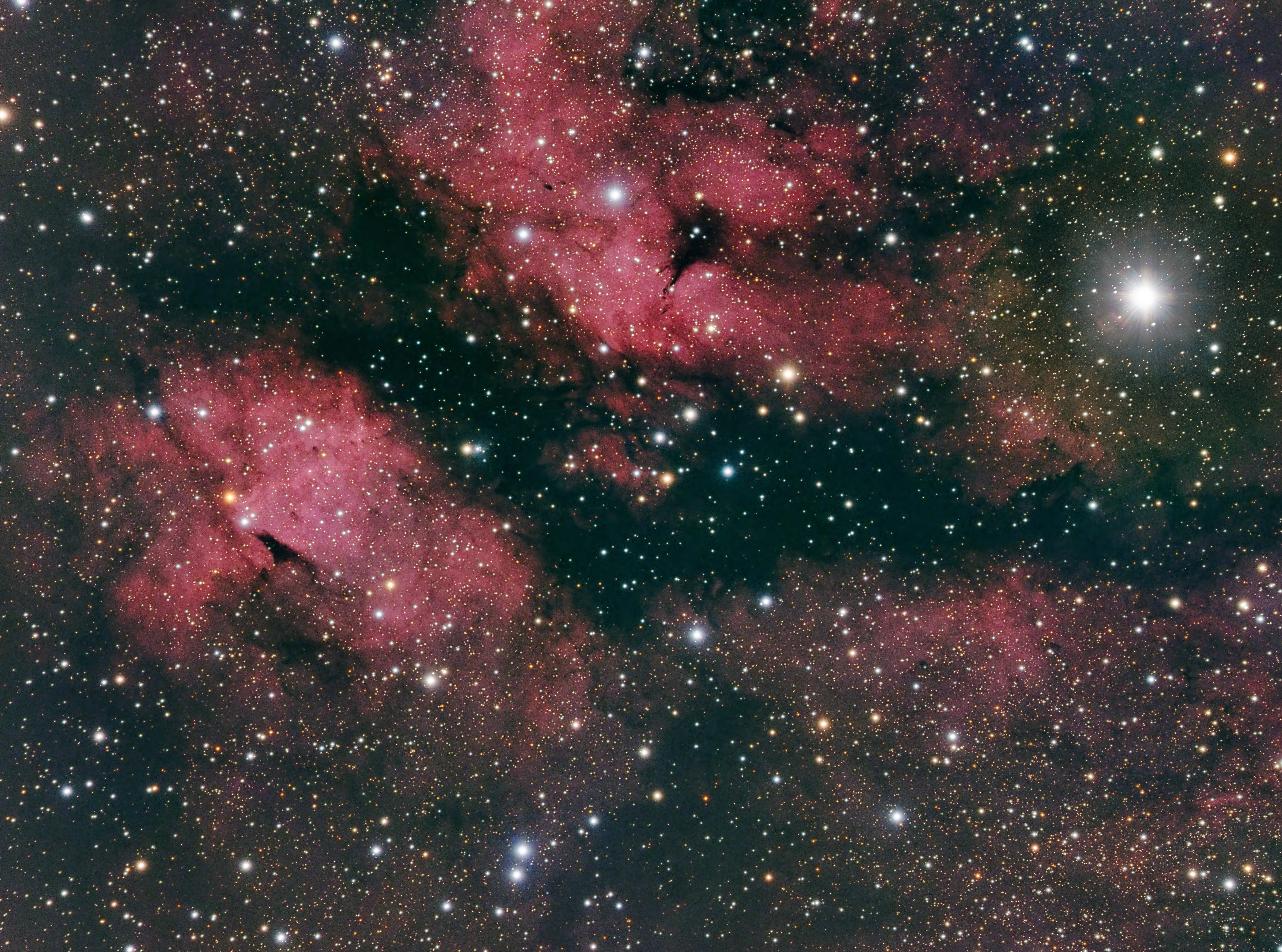 IC 1318 Portion